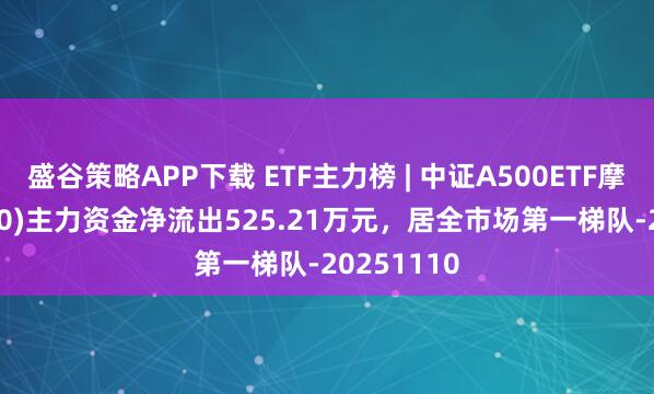 盛谷策略APP下载 ETF主力榜 | 中证A500ETF摩根(560530)主力资金净流出525.21万元，居全市场第一梯队-20251110