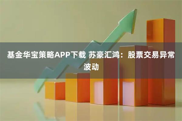 基金华宝策略APP下载 苏豪汇鸿:股票交易异常波动