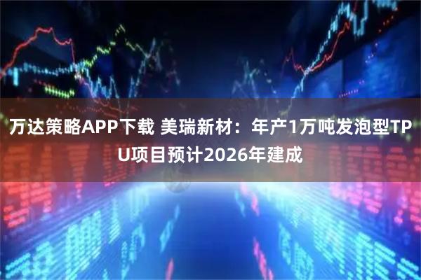 万达策略APP下载 美瑞新材：年产1万吨发泡型TPU项目预计2026年建成