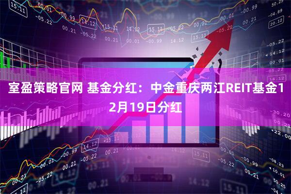 室盈策略官网 基金分红:中金重庆两江REIT基金12月19日分红