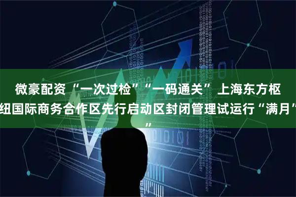 微豪配资 “一次过检”“一码通关” 上海东方枢纽国际商务合作区先行启动区封闭管理试运行“满月”