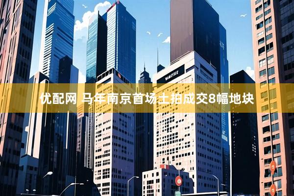 优配网 马年南京首场土拍成交8幅地块